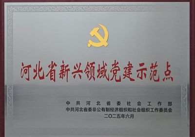 开云（中国）官方总支部委员会被评为“河北省新兴领域党建示范点”